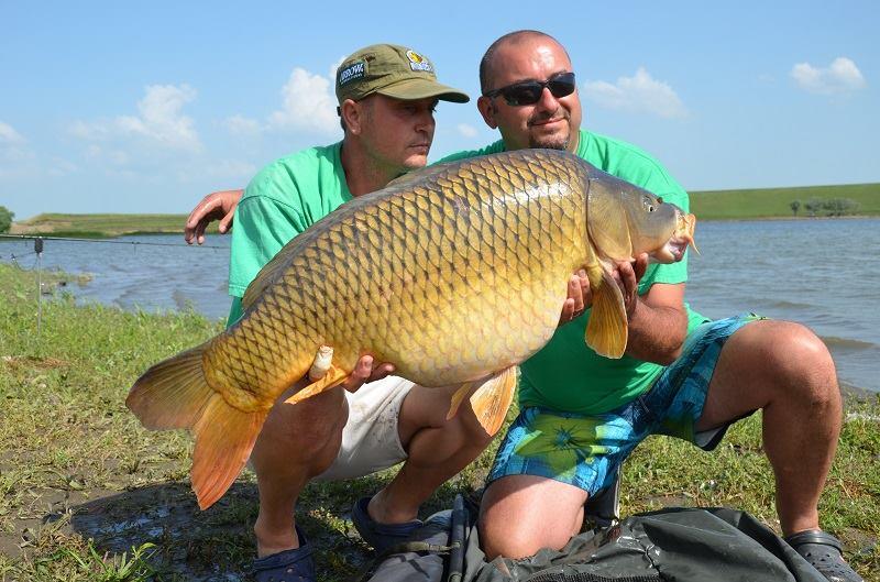 crapi de sarulesti - 1395383656566434404339436693822n.jpg